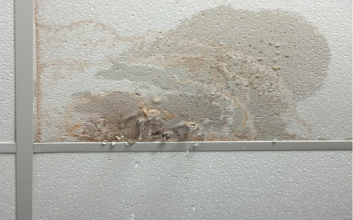 Fuite d’eau au plafond lors de fortes pluies : Comment réagir rapidement et efficacement ?