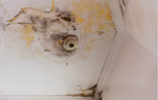 Infiltration d'eau au plafond : tâches et moisissures