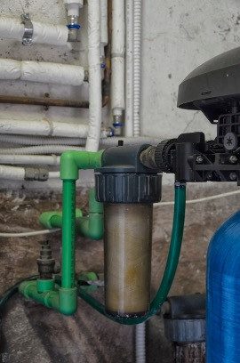 Filtre d'un adoucisseur d'eau